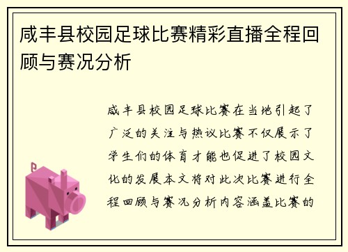 咸丰县校园足球比赛精彩直播全程回顾与赛况分析